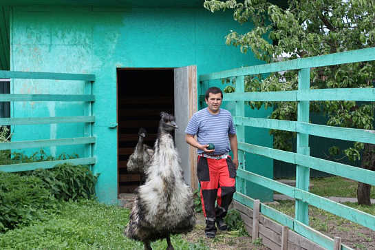 Птичий рай, скрытый от глаз